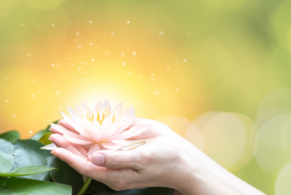 Woman's hands holding a lotus blossom with sparkles of yellow light emanting from it