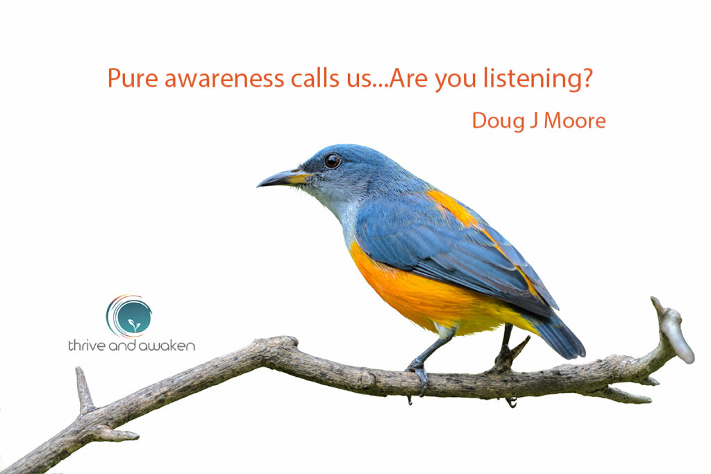 Inspirational quote - Pure awareness call us, are you listening? by Doug J Moore