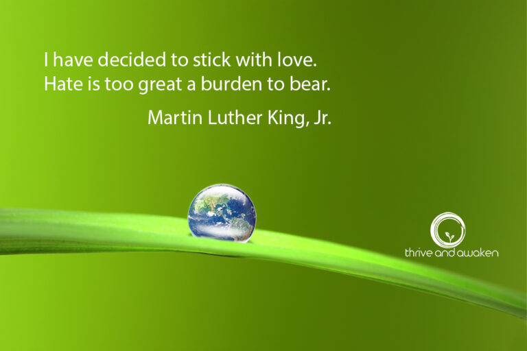Inspirational Quote - I have decided to stick with love. Hate is too great a burden to bear. by Martin Luther King., Jr.