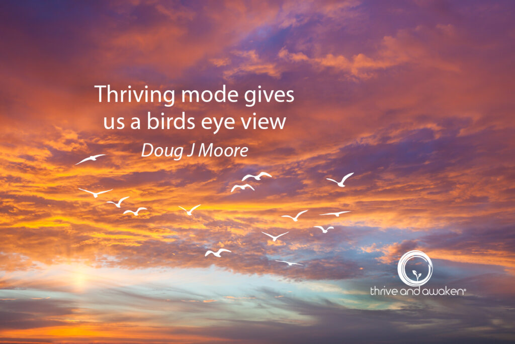 sunset w saying-Thriving Mode gives us a bird's eye view