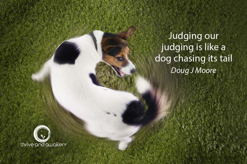 Dog chasing it's tail w a quote from Doug: Judging our judging is like a dog chasing its tail