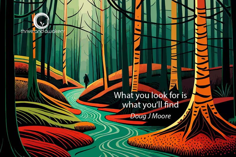 Graphic of forest with a quote from Doug: What you look for is what you will find