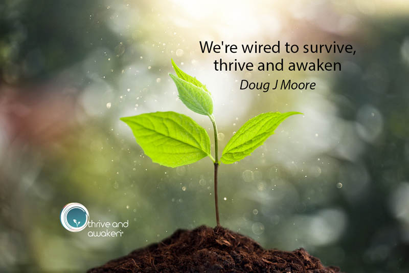A tree sapling emerging from the ground. Quote by Doug: We're wired to survive, thrive, and awaken