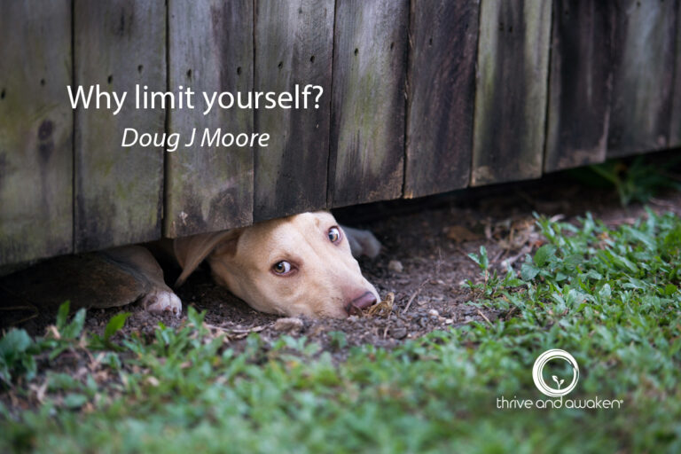 Dog poking its head under a fence looking up. Quote from Doug: Why limit yourself?