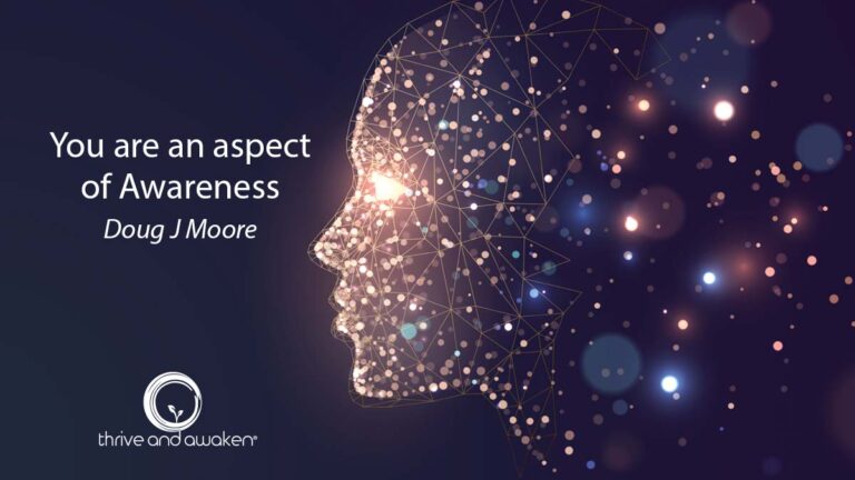 Outline of a head with stars inside. Quote from Doug: You are an aspect of awareness