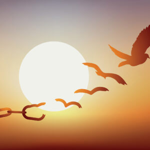 Surviving to Thriving Step 4: Clearing Reactivity