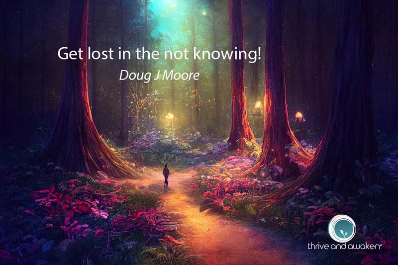 Someone walking alone in the woods. Quote from Doug: Get lost in the not knowing
