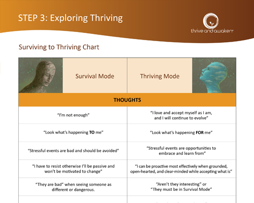 Sample of the Surviving to Thriving Chart