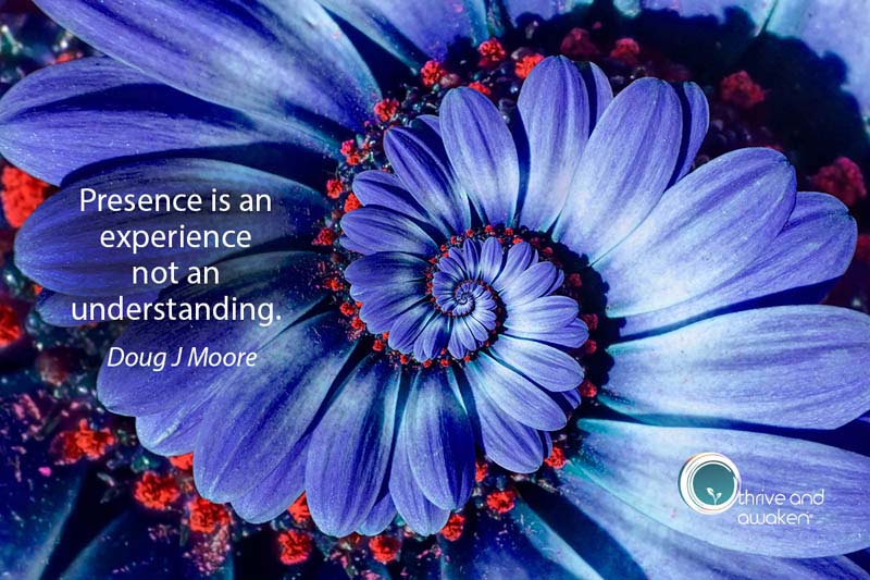 Fractal swirl of purple with a quote from Doug: Presence is an experience not an understanding