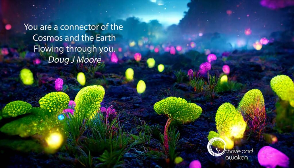 Brightly lit plants with a quote from Doug: You are a connector of the Cosmos and the Earth flowing through you