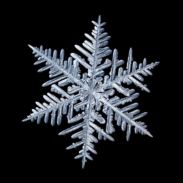 Actual snowflake enlarged