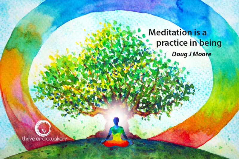 Circle of color around a tree with a person meditating at its base. Quote from Doug: Meditation is a practice in being