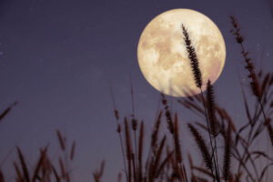 Moon