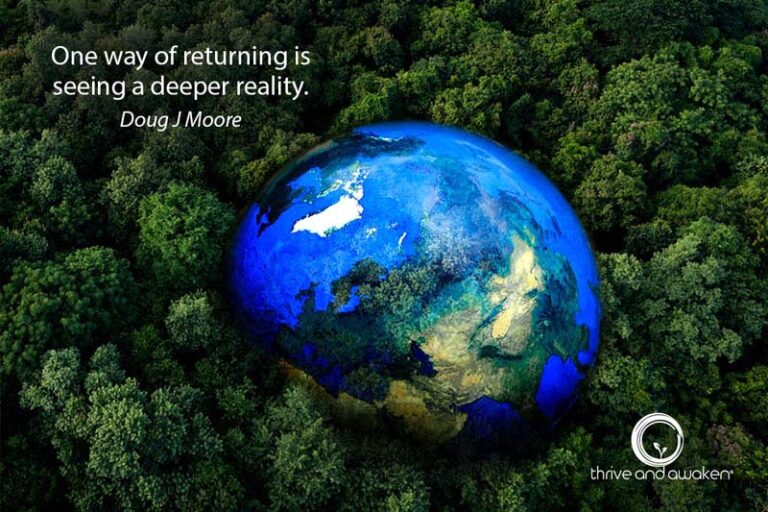 An image of an earth resting on the tops of trees. Quote from Doug: One way of returning is seeing a deeper reality