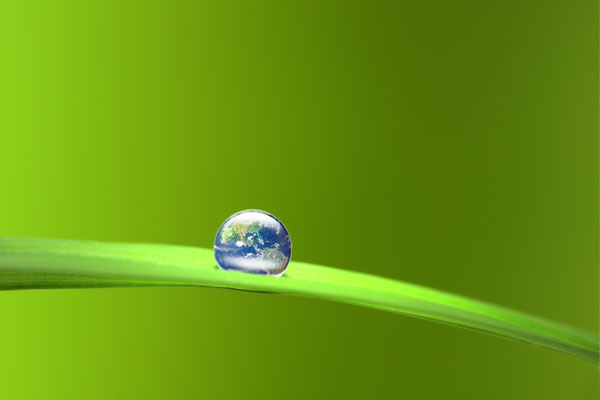 Reflection of the Earth in a drop of water on a leaf