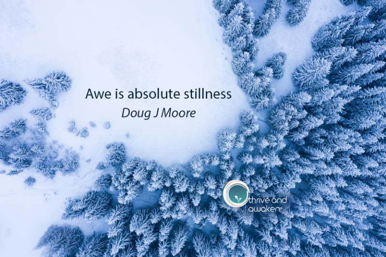 aerial shot of pine trees in winter with quote from Doug: Awe is absolute stillness